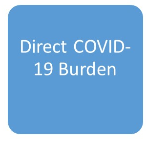 Direct COVID-19 Burden